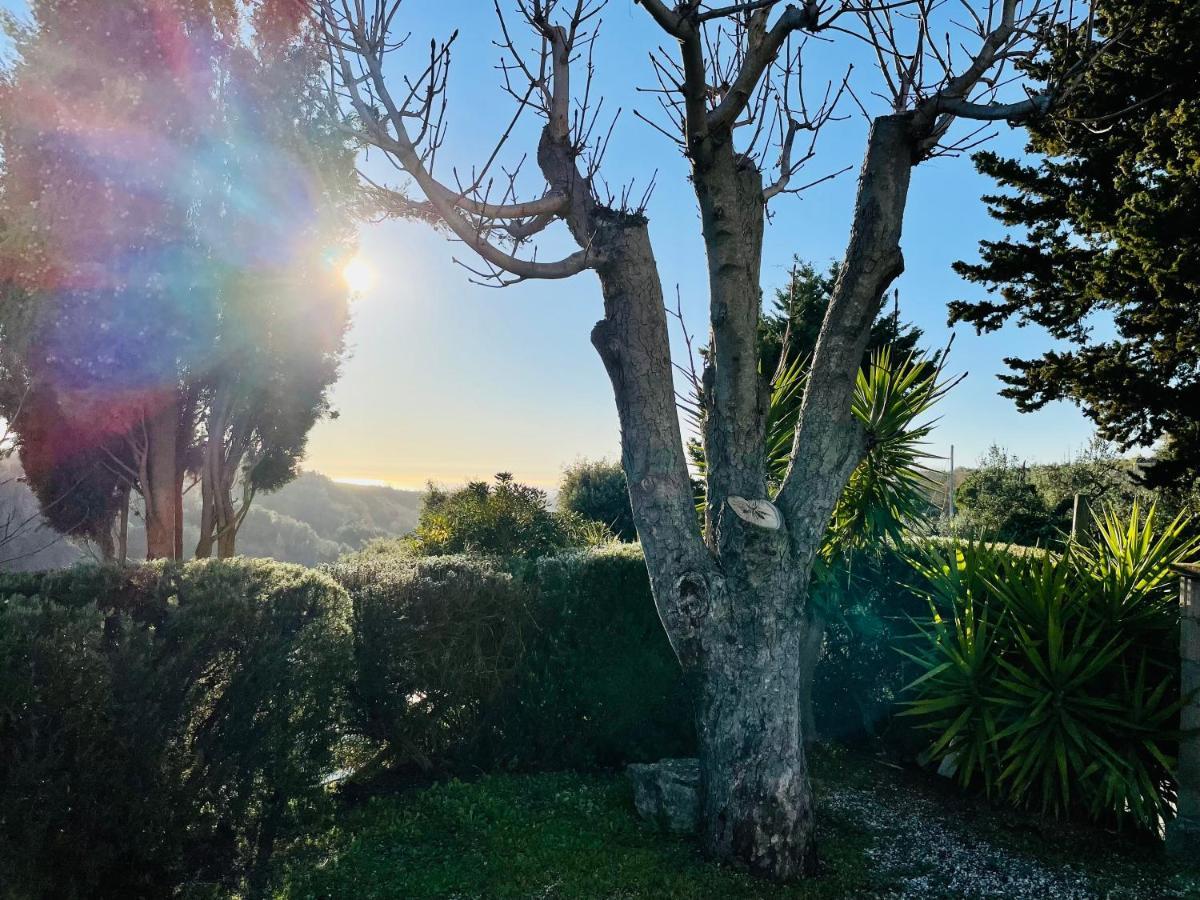 Casetta Luna E Sole Montescudaio Buitenkant foto